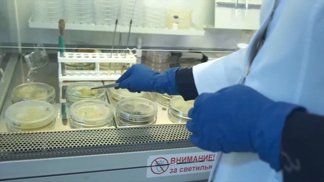 IZONEUM | Research Report смотреть онлайн