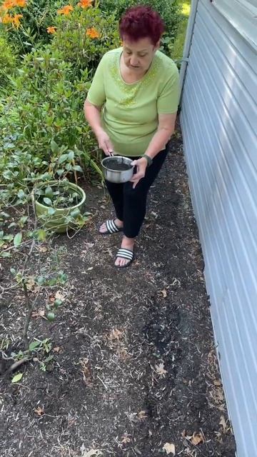 «Американский огород» смотреть онлайн