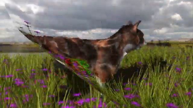 virtual tortoiseshell or calico pussy cat.wmv смотреть онлайн