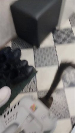 ПОЕХАЛИ