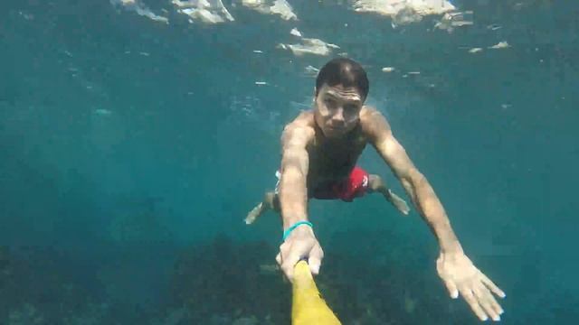 Дикий пляж, Лебедь смотреть онлайн