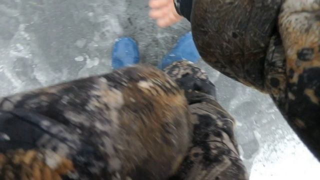 НАКОНЕЦ-ТО! Первый лёд! Трафейные щуки и окуняки! Сработак не мерено. Короче рыбалка удолась