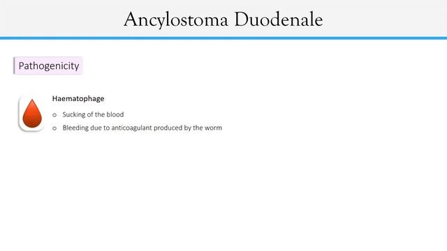 Parasitic roundworms / Nematodes / смотреть онлайн