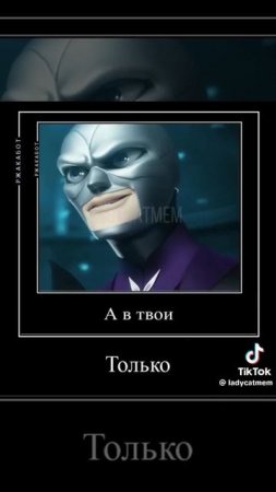+там попугая в хорошие руки