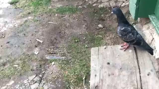 Без названия смотреть онлайн