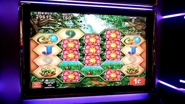 Slot Hit - Fairy Blossom $1.60 bet смотреть онлайн