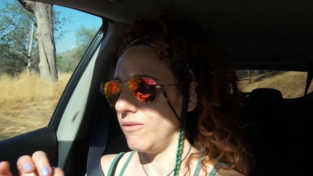 Parco delle Sequoia: gli alberi più alti del mondo! // 🇺🇸 Road Trip Ep 1 смотреть онлайн