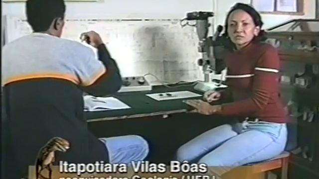 Dinossauros Faperj смотреть онлайн