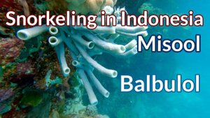 Balbulol, Misool, Raja Ampat - 4K Snorkeling in Indonesia