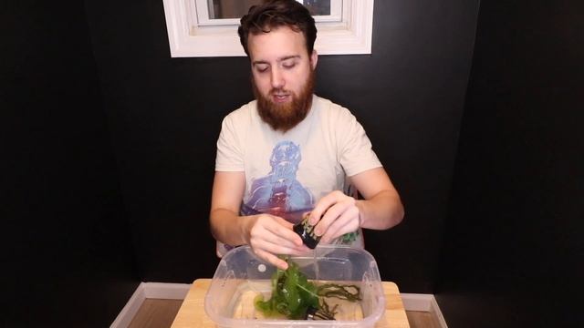 APONOGETON ULVACEUS AND LONGIPLUMULOSUS - AQUARIUM PLANT CARE GUIDE