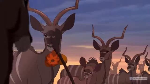 Король лев   Рождение Симбы смотреть онлайн