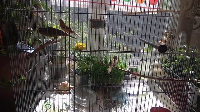 24 апреля 2022 г.(4) смотреть онлайн