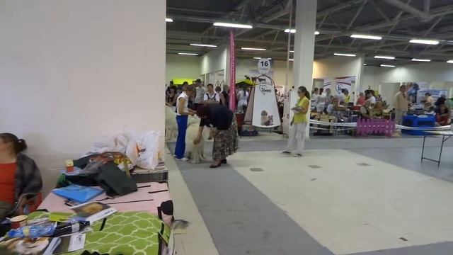 MAH08913 смотреть онлайн