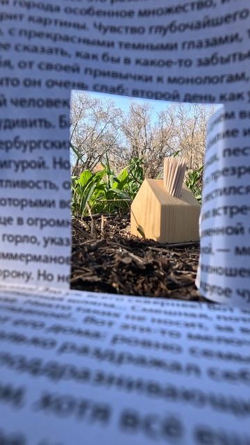 Зубочистка