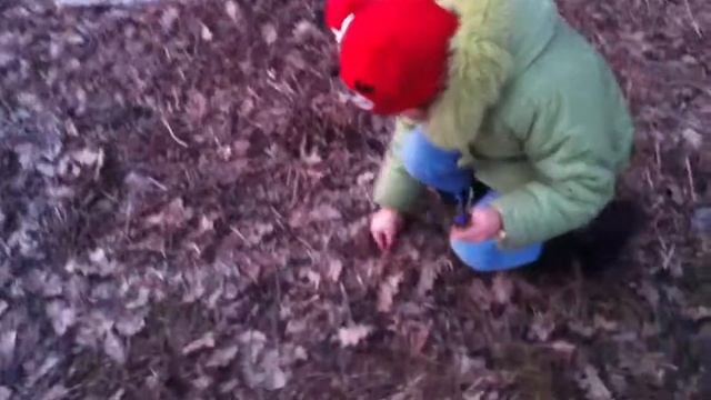 Stringem viorele violete!!!! ;-)) смотреть онлайн