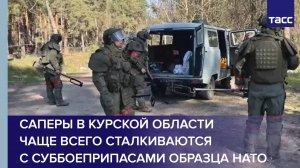 Саперы в Курской области чаще всего сталкиваются с суббоеприпасами образца НАТО