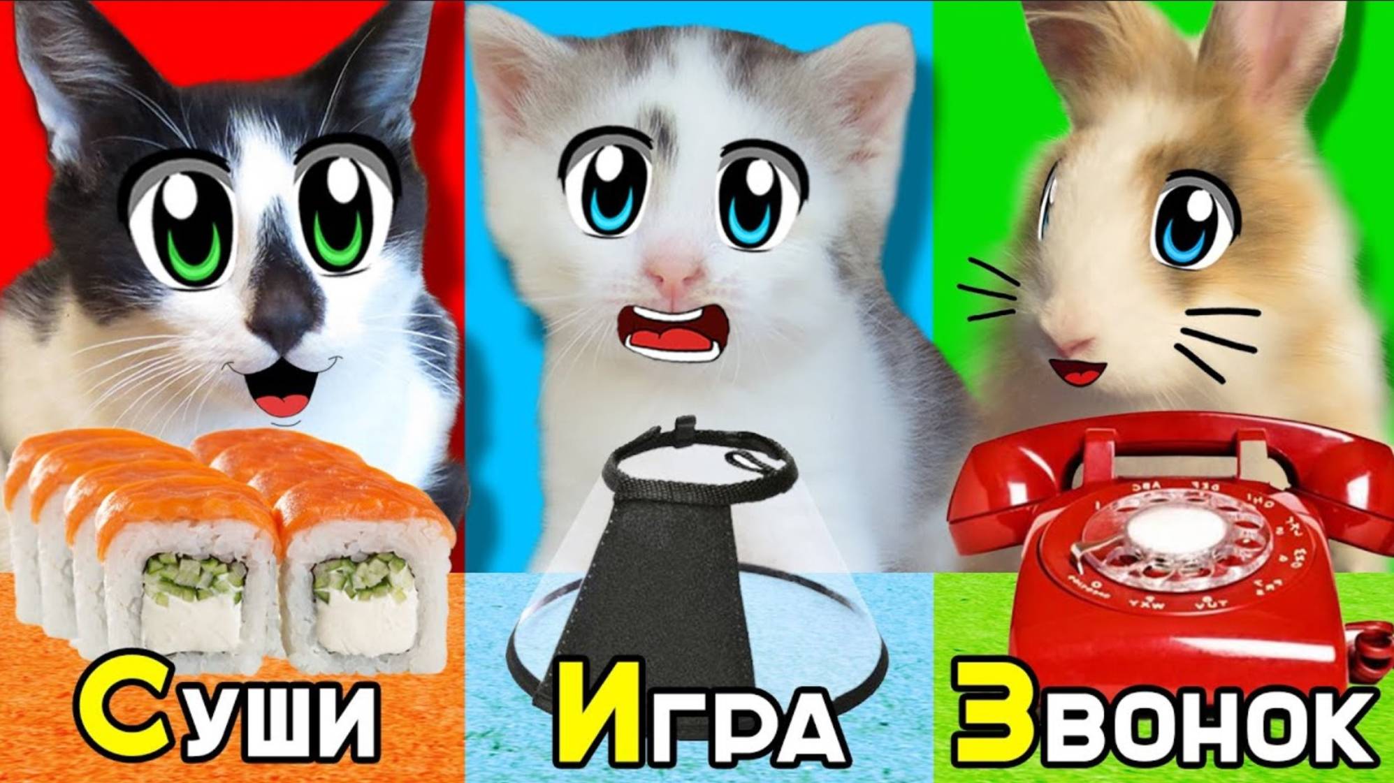 Выполняем ЗАДАНИЯ по АЛФАВИТУ Челлендж ! ЗВОНОК ГОВОРЯЩЕМУ БЕНУ от КОШКИ МУРКИ | А ну-ка давай-ка