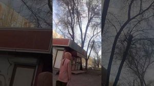 20250416_080530
