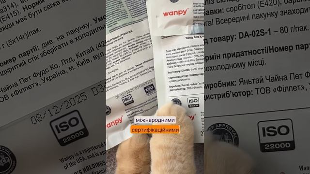 Чому котики надають перевагу ласощам Wanpy смотреть онлайн
