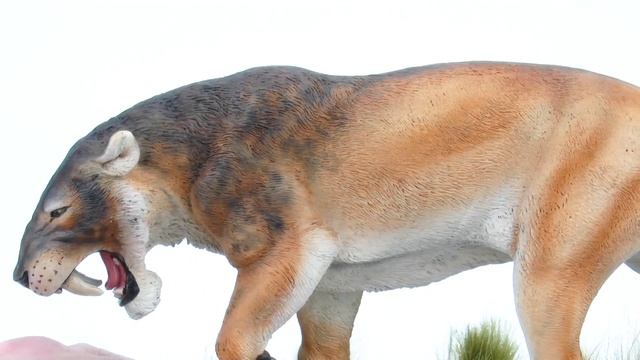 Machairodus von Sean Cooper смотреть онлайн