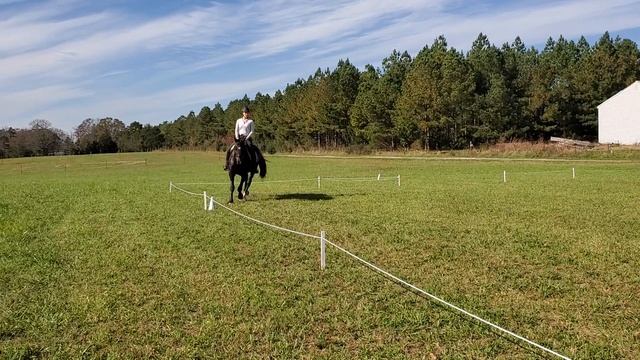 Roswitha - First Lesson Post Injury смотреть онлайн