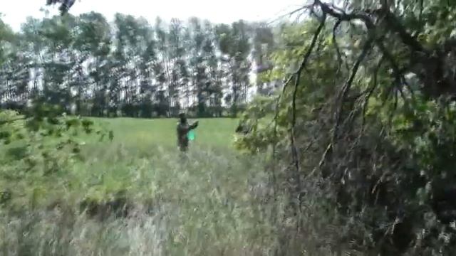 Приехали на ягоду каренду.  23. 07. 2023