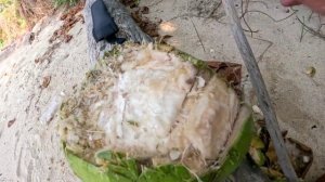 Как правильно разделывать и употреблять кокосы. Старые и молодые орехи. Кокосовая вода и молоко.