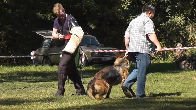 ВОЛЬФЕНКРАФТ ВЕТРА смотреть онлайн