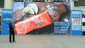 Беломорская сказка: Соловки и Летняя Золотица