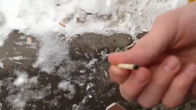 Баклажан аватар 0_0 смотреть онлайн