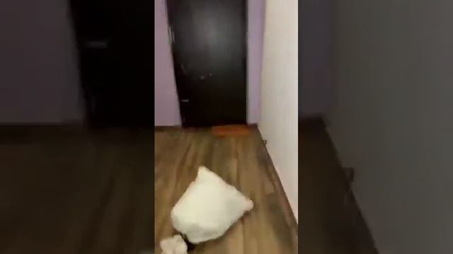 tinga tinga part 3