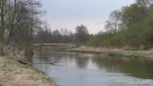 Тайга в карелии #Один в карелии №1