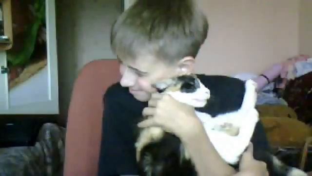 КАК ТЫ ЛЮБИШЬ СВОЮ КОШКУ? смотреть онлайн