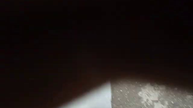 уфа 12 мая 2020 год сирень цветет смотреть онлайн