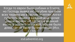 18 апреля 2025 Вход в Иерусалим. Под сенью благодати. Адвентисты