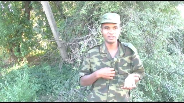 Обращение Айо Бенеса к V съезду "Другой России" смотреть онлайн