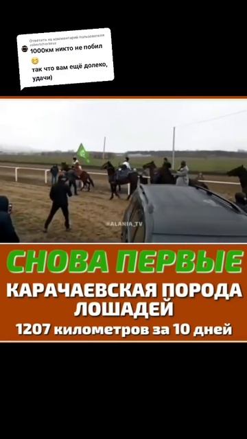 снова карачаевская порода первая смотреть онлайн