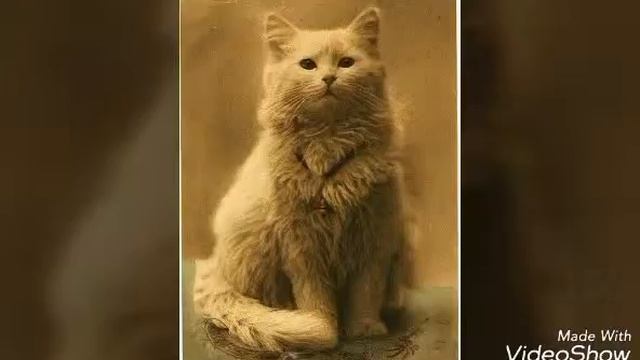 7 самых удивительных фото!