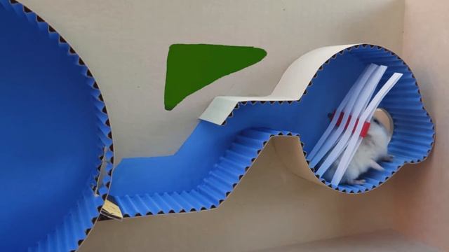 Хомяк Попал в Трубы с Монстрами. Хомячий Грузовик помогает Питомцу сбежать из Тюрьмы смотреть онлайн