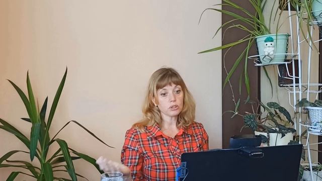 иерархия в животном мире смотреть онлайн