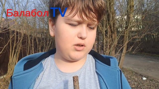 Балабол TV (кот сиранул )