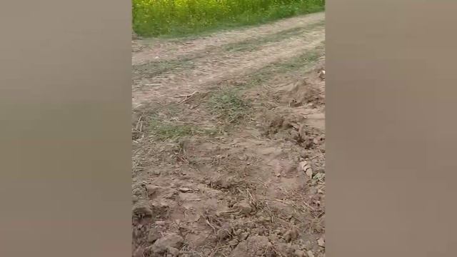 Саморобна сцепка борони катки з культиватора Усмк-5.4 Катки після реставрації
