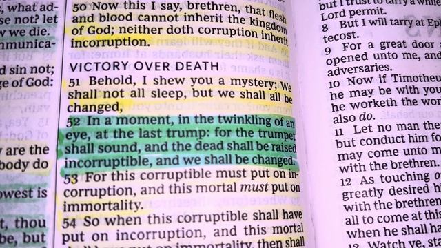 Let’s Look At Some Rapture Verses | Black Swan Revelations смотреть онлайн