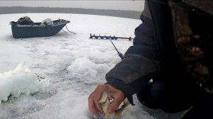 АПРЕЛЬСКИЙ ОКУНЬ.