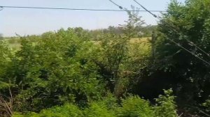 Песни про поезда и железную дорогу