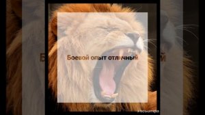 Лев против Горила