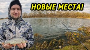 Разведка новых рыболовных мест. Рыбалка на реке Сосна, крупная плотва есть