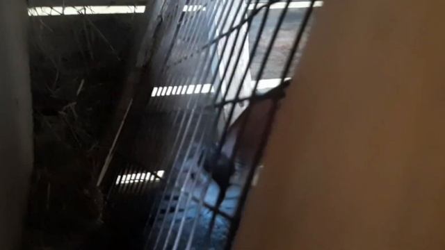 у тёти Лены смотреть онлайн