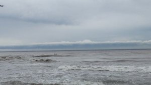 Море релакс дельфины