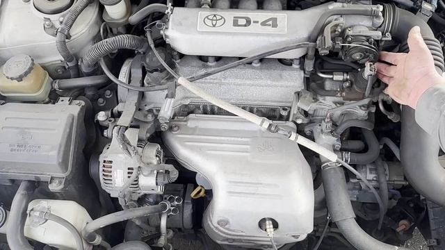 share SV50G-0039341